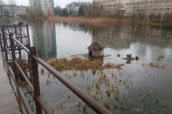 &laquo;Бьют, ломают, вырывают&raquo;: казанцы требуют защитить от вандалов экопарк &laquo;Озеро Харовое&raquo; 