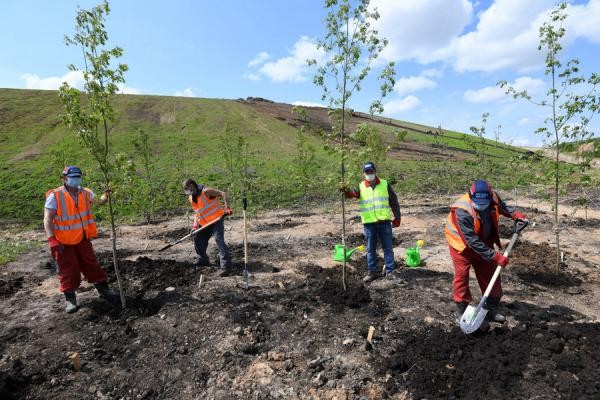 Весь покрытый зеленью, абсолютно весь: на бывшей Самосыровской свалке обустраивают место отдыха для казанцев Весь покрытый зеленью, абсолютно весь: на бывшей Самосыровской свалке обустраивают место отдыха для казанцев