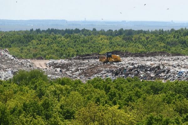 Весь покрытый зеленью, абсолютно весь: на бывшей Самосыровской свалке обустраивают место отдыха для казанцев Весь покрытый зеленью, абсолютно весь: на бывшей Самосыровской свалке обустраивают место отдыха для казанцев