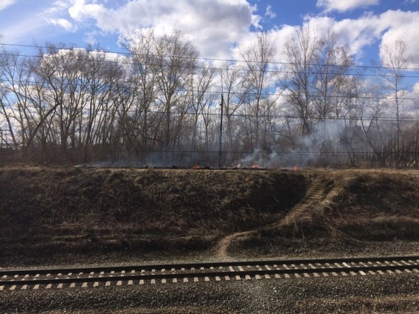 В Казани в период действия противопожарного режима поступило 83 сообщения о горении травы