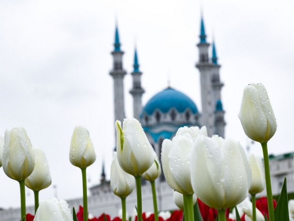 С начала священного месяца Рамазан в Татарстане ланч-боксы получили 24 тысячи нуждающихся