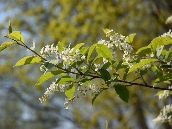 Метеорологи Татарстана прогнозируют грозу и + 23 градуса Метеорологи Татарстана прогнозируют грозу и + 23 градуса