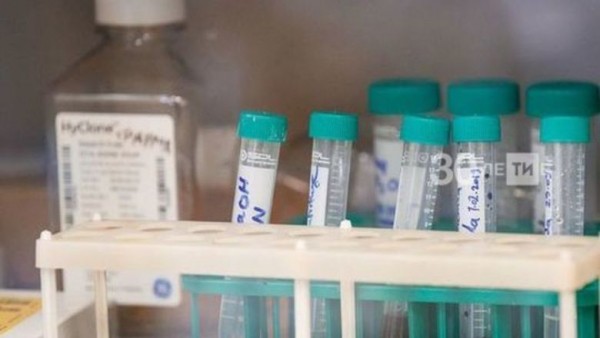 В Татарстане за сутки подтверждено 75 новых случаев Covid-19 