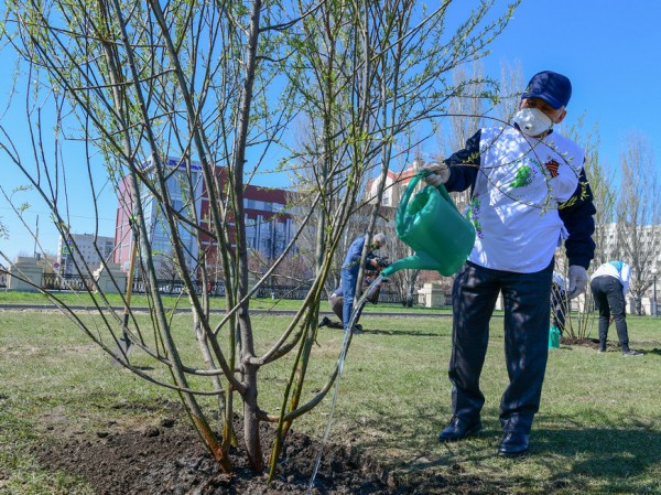Рустам Минниханов и Ильсур Метшин присоединились к акции «Сад памяти» Рустам Минниханов и Ильсур Метшин присоединились к акции «Сад памяти»