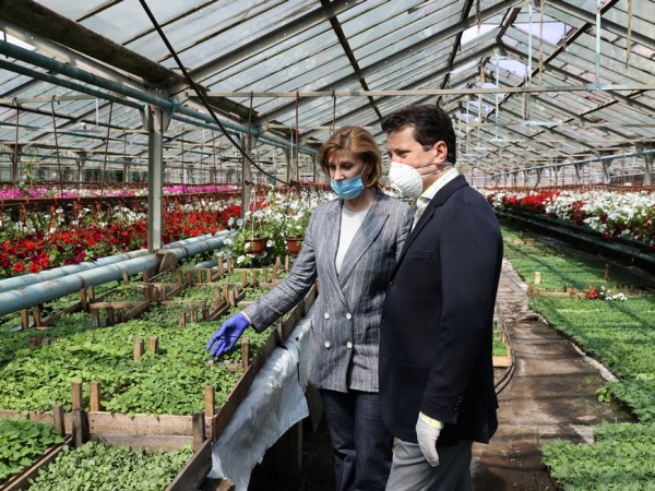 В этом году в Казани высадят до 2 млн цветочных саженцев