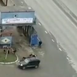 На ВИДЕО попало, как на Разъезде Восстания на мужчину набросилась свора бродячих собак