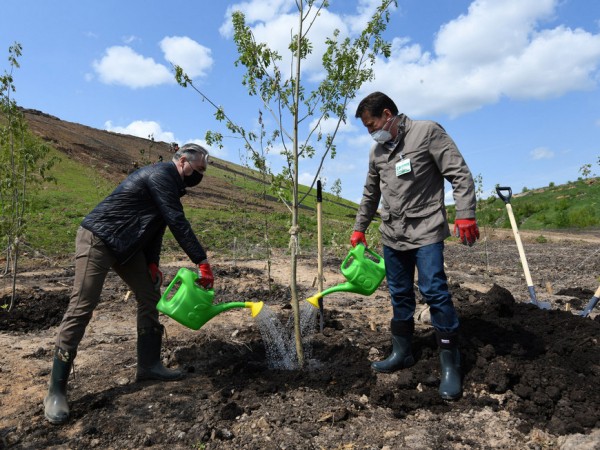 Ильсур Метшин: &laquo;Вчера здесь была огромная свалка. Сегодня это &ndash; зеленый холм. А завтра будет красивая роща!&raquo;