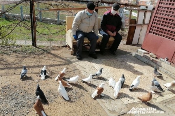 Режим «самопослабления». Как Татарстан будет возвращаться к прежней жизни?