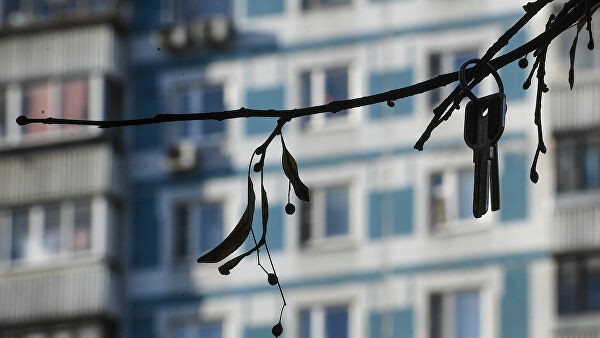 Принял за джунгли? Житель Казани просидел на дереве более 10 часов Принял за джунгли? Житель Казани просидел на дереве более 10 часов