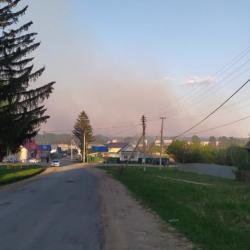 Из-за загоревшейся травы на бывшем арсенале в Удмуртии взрываются фугасы Из-за загоревшейся травы на бывшем арсенале в Удмуртии взрываются фугасы