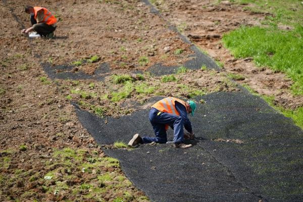 Весь покрытый зеленью, абсолютно весь: на бывшей Самосыровской свалке обустраивают место отдыха для казанцев Весь покрытый зеленью, абсолютно весь: на бывшей Самосыровской свалке обустраивают место отдыха для казанцев