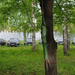 В лесу на Урале обнаружили более полусотни новых иномарок (ВИДЕО)