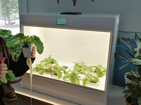 "Давайте сами зарабатывать". Как агрошкола спасла вымирающее село "Давайте сами зарабатывать". Как агрошкола спасла вымирающее село