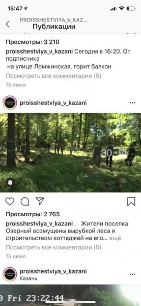 Прокуратура признала незаконной вырубку леса под коттеджи рядом с Казанью