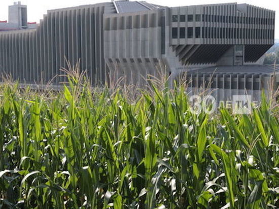 Строительство ЗТО под Казанью начнется в июле