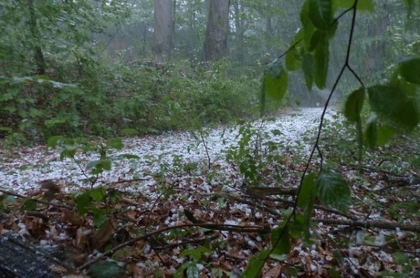 Грозы и град. В Татарстане резко ухудшится погода