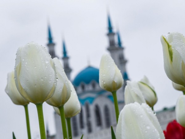 В июне казанцев ждут две сокращенные рабочие недели