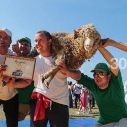 Сабантуй: в войну праздновали, а во время пандемии коронавируса?..