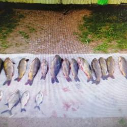 В РТ задержали двух рыбаков &ndash; за незаконный вылов им грозит до 5 лет тюрьмы