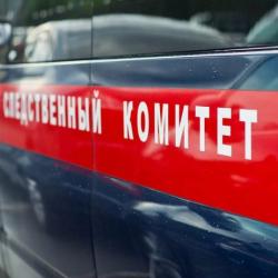 Следком через суд просит направить мать-убийцу из Челнов на принудительное лечение