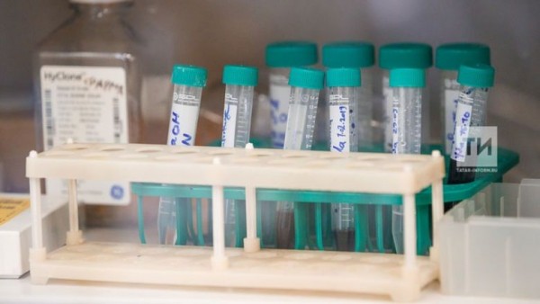 В Татарстане за сутки выявили 55 заболевших Covid-19