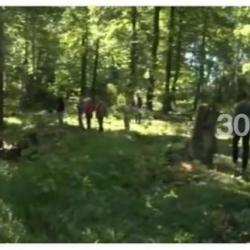 Прокуратура признала незаконной вырубку леса под коттеджи рядом с Казанью