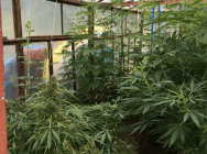 Сотрудниками ОБОП задержаны подозреваемые в серии краж из сети спортивных магазинов