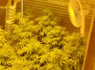 Сотрудниками ОБОП задержаны подозреваемые в серии краж из сети спортивных магазинов