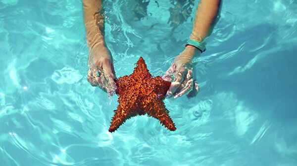 Доминикана готова принимать гостей из России без ограничений