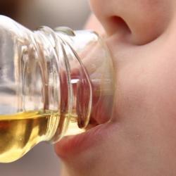 Онколог назвал специю, препятствующую росту раковых клеток Онколог назвал специю, препятствующую росту раковых клеток