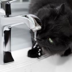 Тарифный скачок: что изменится в счетах-фактурах татарстанцев с 1 июля?