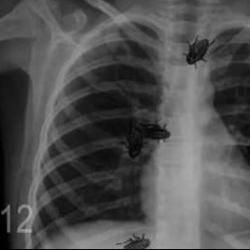 В день открытия 33-го сезона театр Кариева покажет премьеру сатирической комедии &laquo;"Колорадские" страсти&raquo; (АФИША)