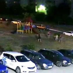 В российском городе бродячие собаки напали на гуляющих детей (ВИДЕО)