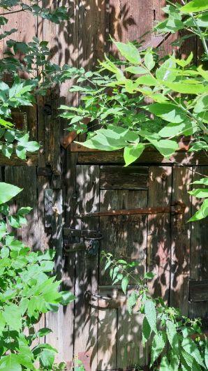 Учебный городок-призрак. Как выглядит сейчас самое престижное училище ТАССР