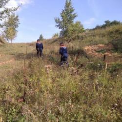 В Татарстане уже несколько дней ищут мужчину, который уехал верхом на поиски коров и пропал