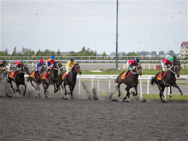 В День города в Казани выступят Валерий Сюткин, Сергей Безруков и Niletto В День города в Казани выступят Валерий Сюткин, Сергей Безруков и Niletto