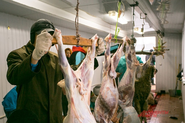 Пост, молитва и заклание. Как правильно отмечать Курбан-байрам?