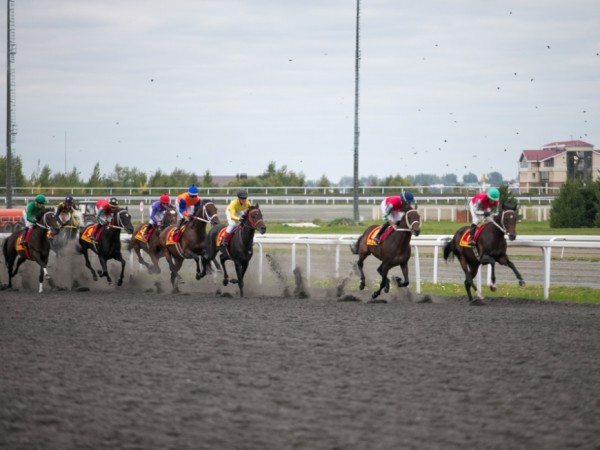 День города в Казани: Tat Cult Fest, &laquo;Казанская осень&raquo;, концерт у Чаши и 300-залповый салют