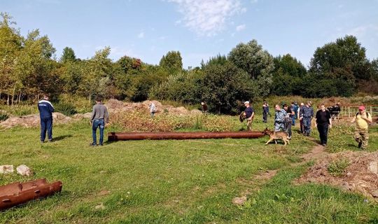 В Татарстане уже несколько дней ищут мужчину, который уехал верхом на поиски коров и пропал