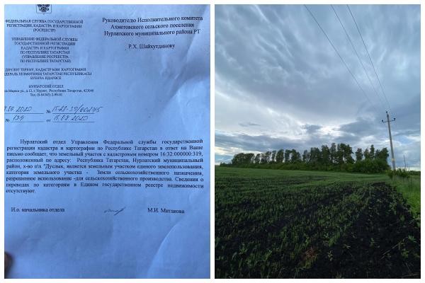 «Настоящего пахаря на пустом месте обвинили!»: в Татарстане лесники подвели под статью известного фермера