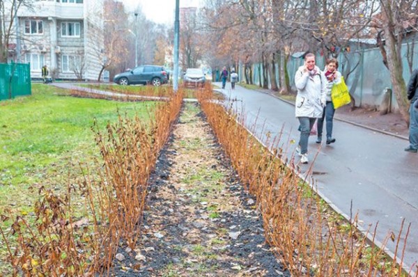 Нашли в кустах. В Нижнекамске проверят семью мальчика, сбежавшего из дома