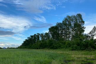 «Настоящего пахаря на пустом месте обвинили!»: в Татарстане лесники подвели под статью известного фермера