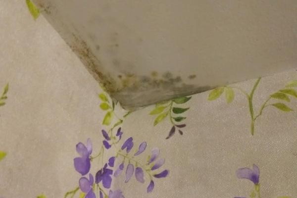 &laquo;Мы мерзнем, у нас по стенам плесень&raquo;: многодетная мать из &laquo;Салават Купере&raquo; жалуется президенту на ГЖФ