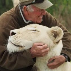 Две львицы растерзали спасшего их хозяина