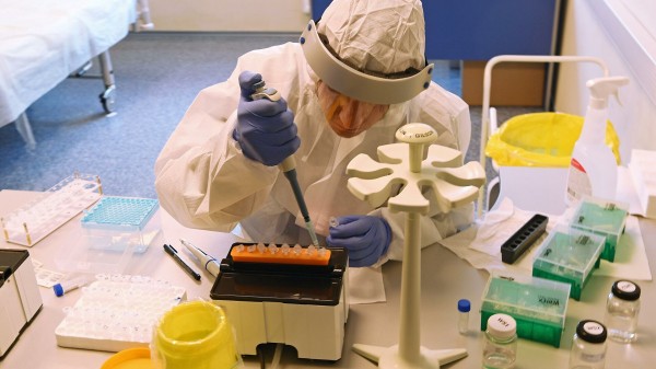 Как сдать тест на COVID-19 после отпуска и не получить штраф