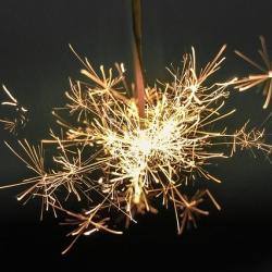 Минтруд предложил установить новогодние каникулы с 1 по 10 января