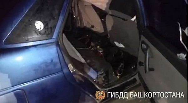 В Башкирии в серьёзном ДТП погибли парень, лошадь и два жеребёнка