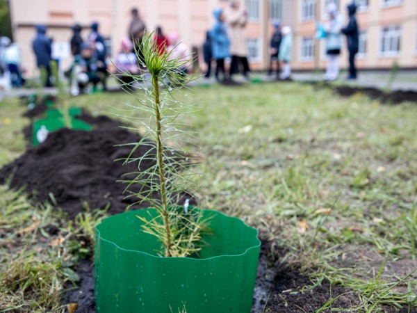 И.Метшин: &laquo;Эти дети будут беречь природу и приумножать зеленую красоту&raquo;