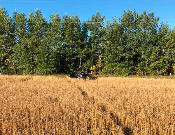 В Татарстане около лесопосадки нашли машину с мёртвым водителем