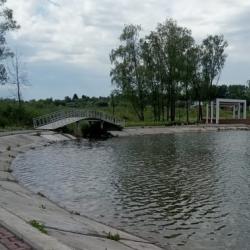 Житель Актаныша, утопивший в пруду 6-летнего мальчика, отправится на психиатрическое лечение